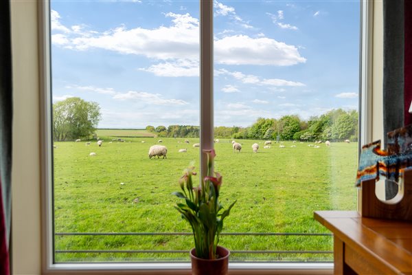 View through the window of fields and sheep in holiday cottage yorkshire